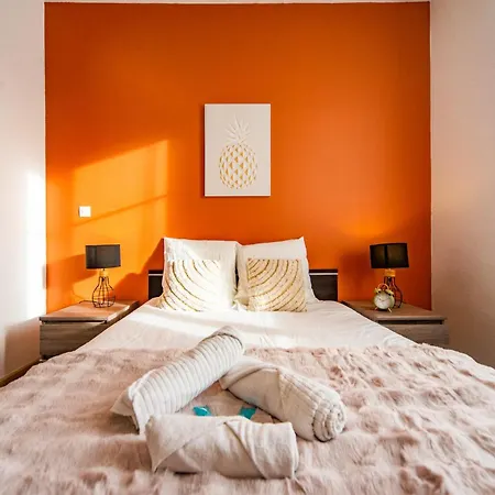 Apartment L'ernest -jardin Privatif - Netflix Tours