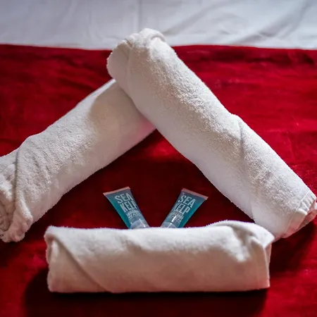 L'ernest -jardin Privatif - Netflix Apartmán