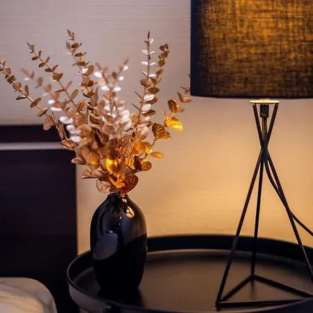 Apartment L'ernest -jardin Privatif - Netflix Tours