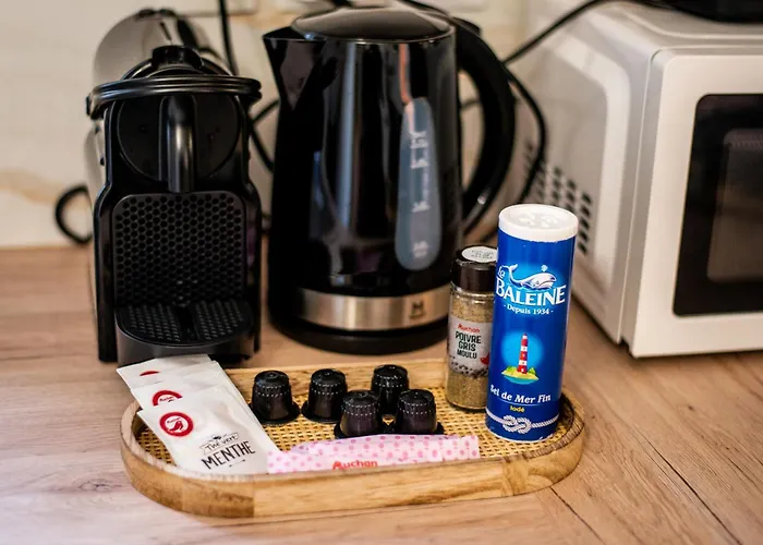 Apartment L'ernest -jardin Privatif - Netflix Tours