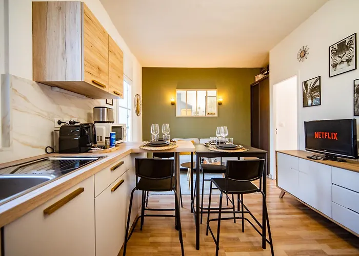 L'ernest -jardin Privatif - Netflix Apartment Tours