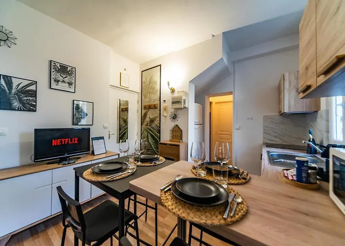 L'ernest -jardin Privatif - Netflix