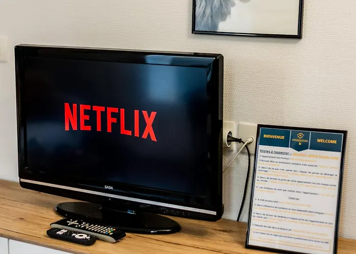 Apartment L'ernest -jardin Privatif - Netflix