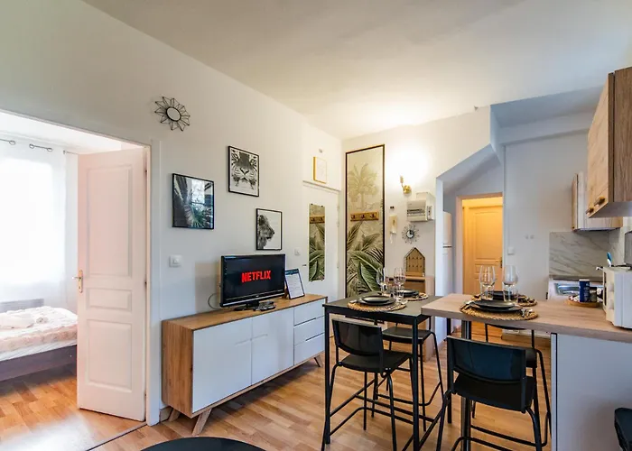 L'ernest -jardin Privatif - Netflix Apartment Tours