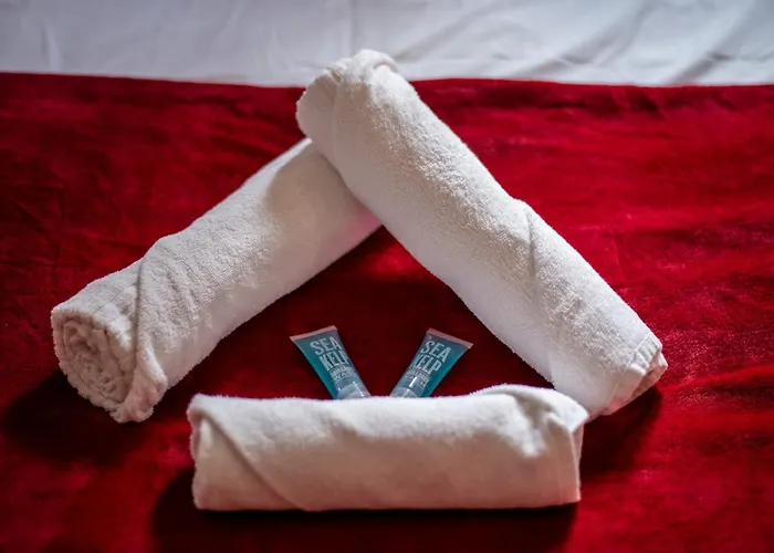 L'ernest -jardin Privatif - Netflix Apartment